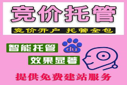 案例解析：推广竞价助力企业抢占市场份额